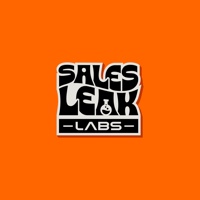 Sales Leak Labs