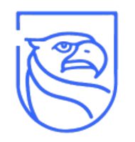 Cyber Dacians