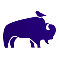 Connect with Bison & Bird - certified expert by LiveChat