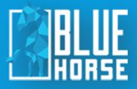 BlueHorse Software Solution Pvt Ltd