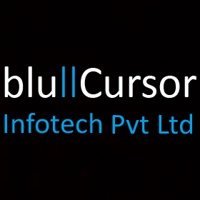 bluCursor Infotech Private Limited