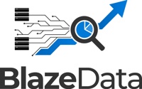 Blaze Data Solution Kft.