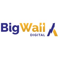 Big Wall Digital