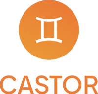 Castor Development Outsourcing