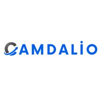 Camdalio Digital Marketing Agency