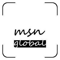 MSN Global IT Solutions