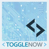 ToggleNow Software Solutions Pvt Ltd.