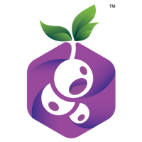 Blackcurrant Labs Pvt. Ltd.