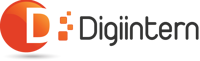 Digiintern - Best Web Designing & Seo Company