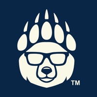 Beardog Digital LLC