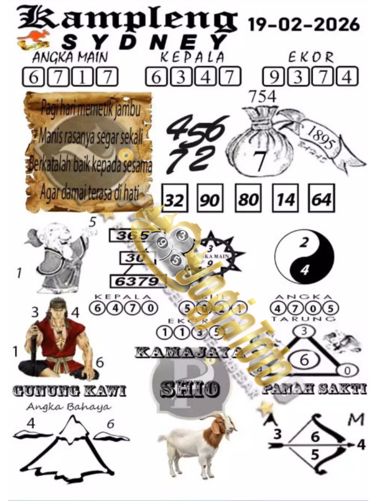 sdy4.png
