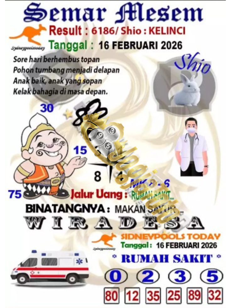 sdy2.png