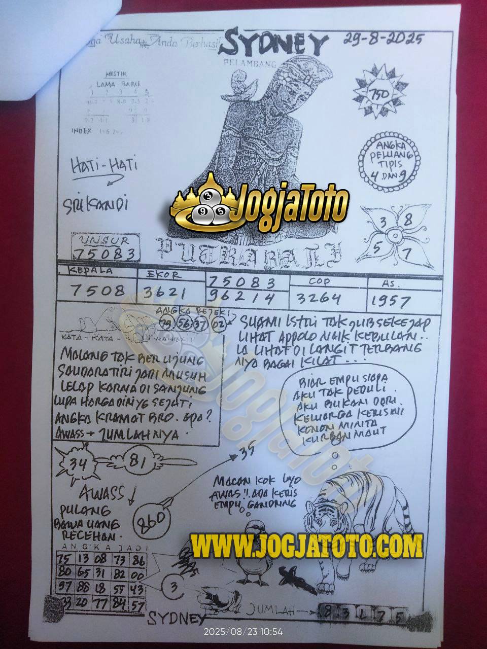 SDY%2029.jpg