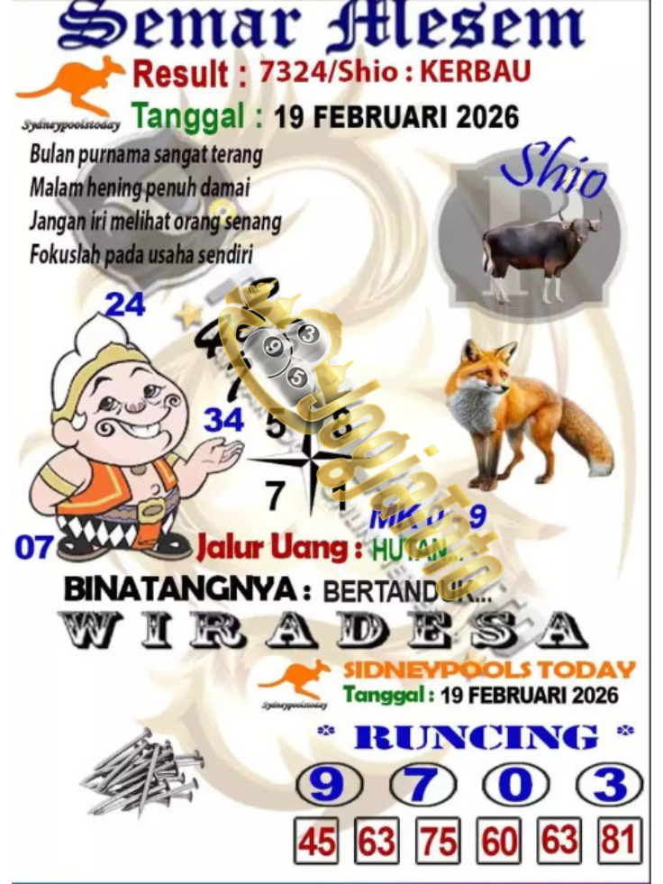 sdy2.png