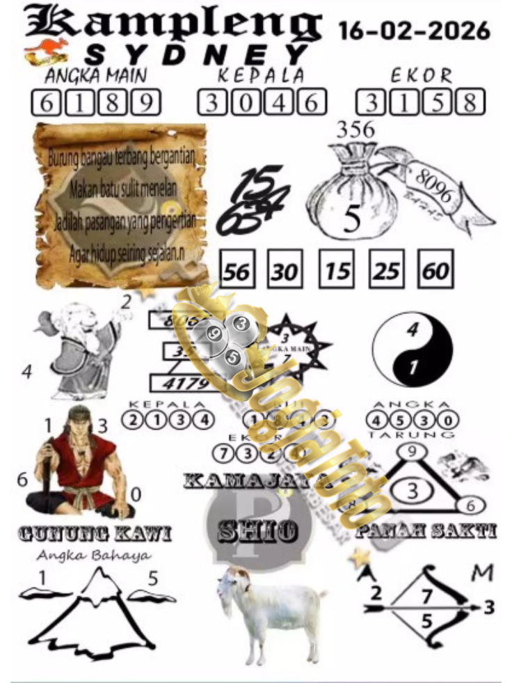 sdy4.png