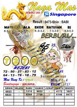 SGP-NAGA-MASS.png