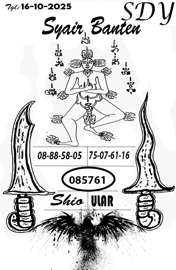 SYR%20SDY.jpg