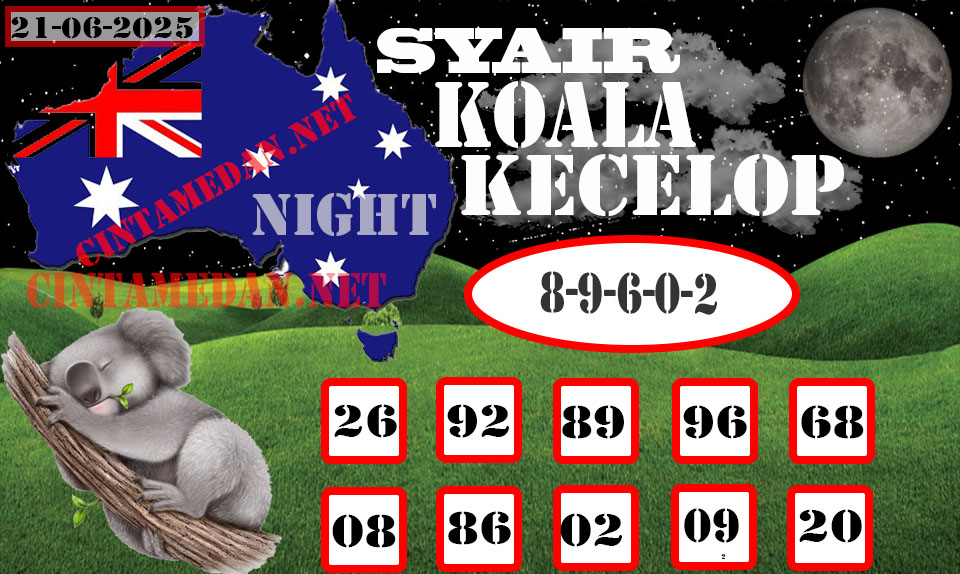 SYAIR%20KOALA%20KECELOP.jpg