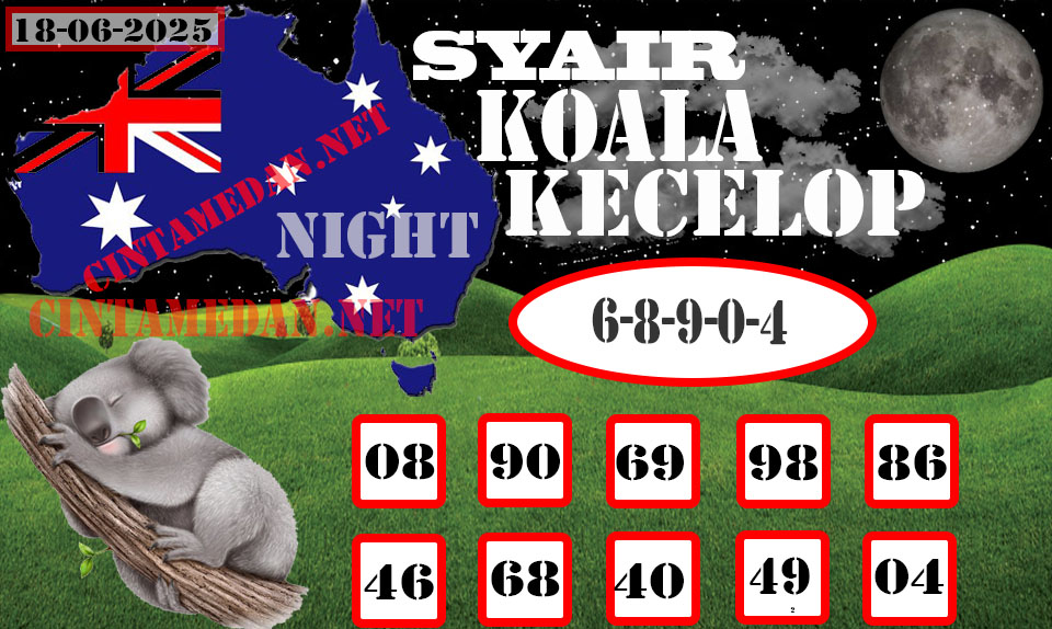 SYAIR%20KOALA%20KECELOP.jpg