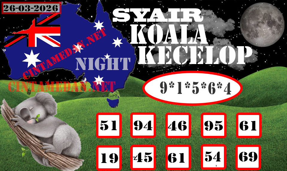 SYAIR%20KOALA.jpg