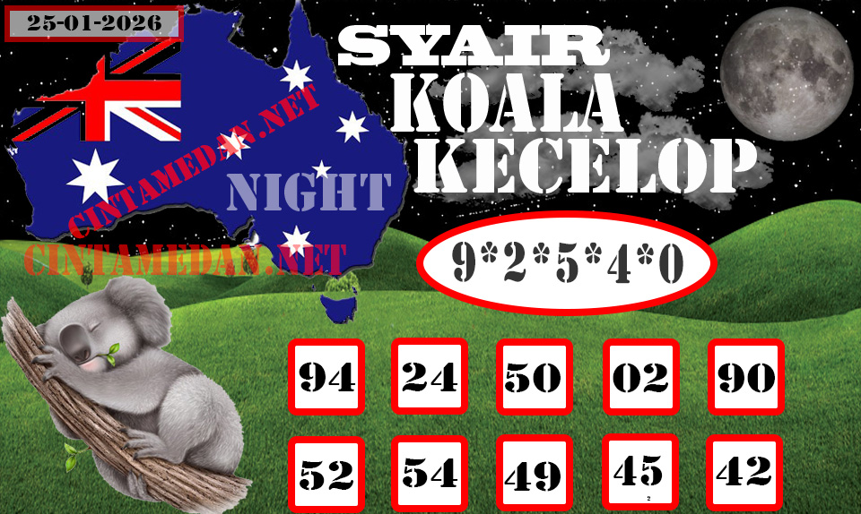 SYAIR%20KOALA%20KECELOP25Recovered.jpg