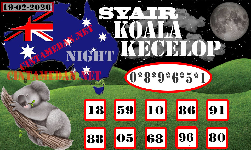 SYAIR%20KOALA%20KECELOP19.jpg