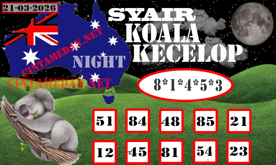 SYAIR%20KOALA.jpg