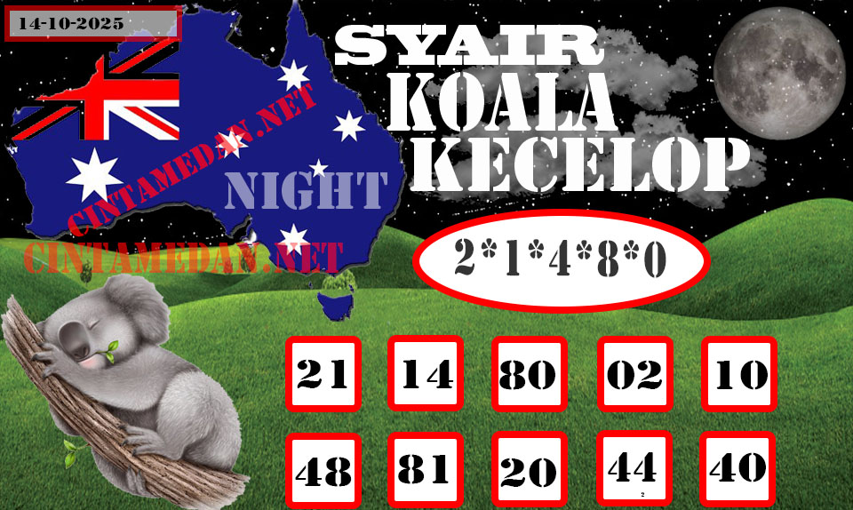 SYAIR%20KOALA%20KECELOP.jpg