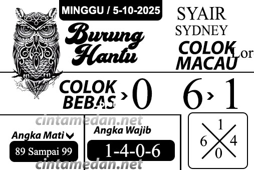 Syair%20burung%20hantu%20SYDN.jpg