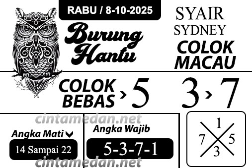 Syair%20burung%20hantu%20SYDN.jpg