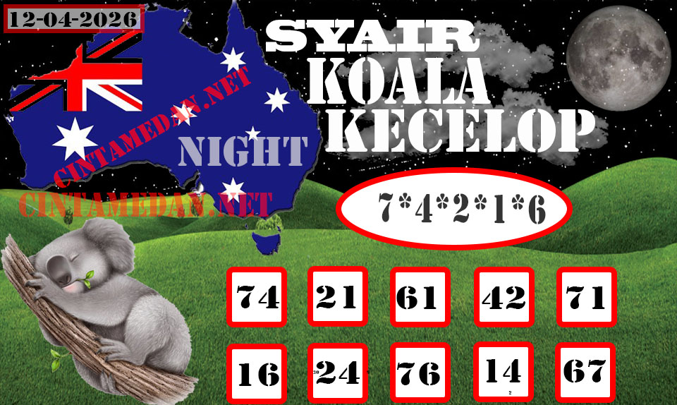 SYAIR%20KOALA%20KECELOP.jpg