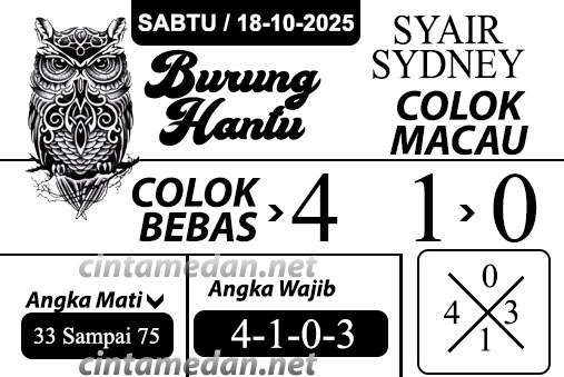 SYAIR%20KOALA%20KECELOP.jpg