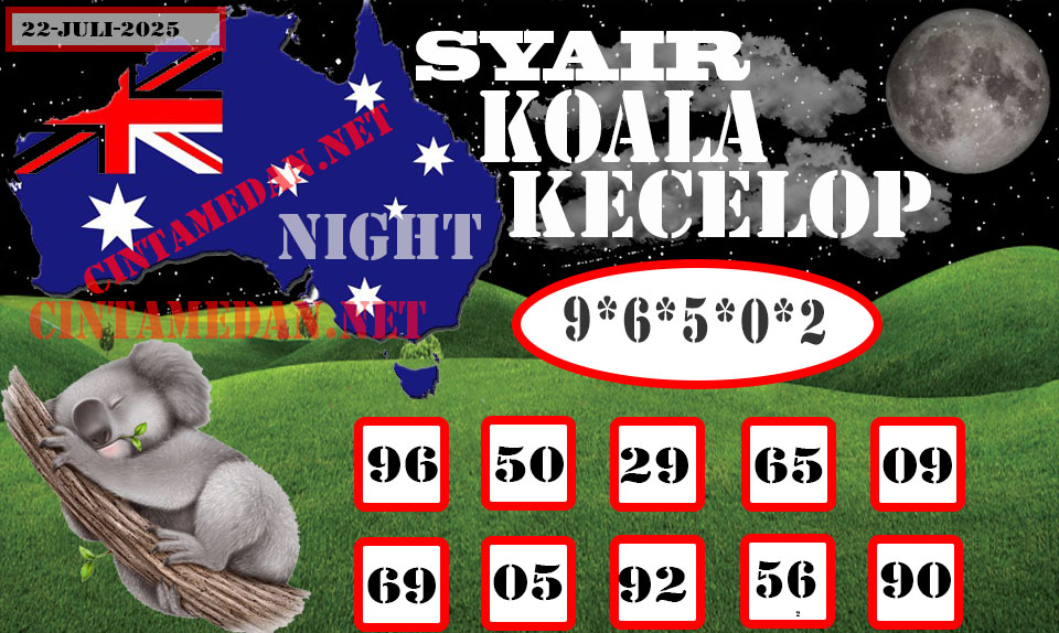 SYAIR%20KOALA%20KECELOP-3.jpg