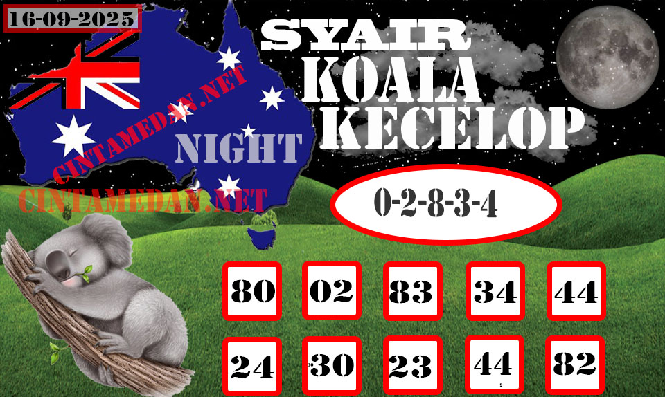 SYAIR%20KOALA%20KECELOP14.jpg