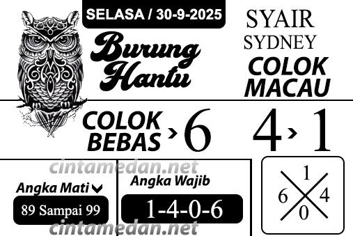 Syair%20burung%20hantu%20SYDN.jpg