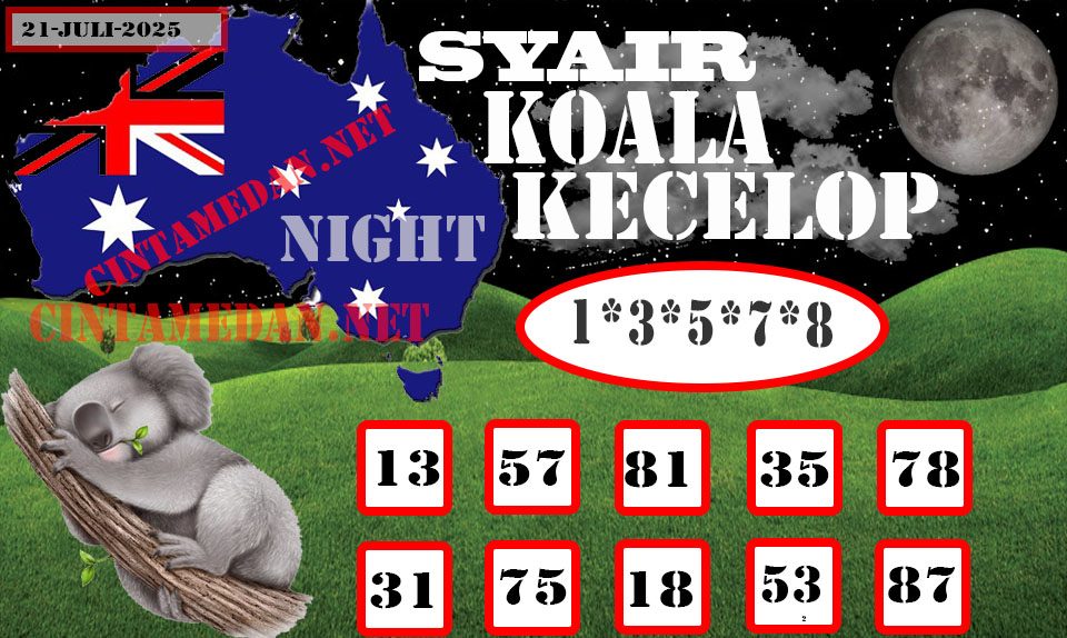 SYAIR%20KOALA%20KECELOP-2.jpg
