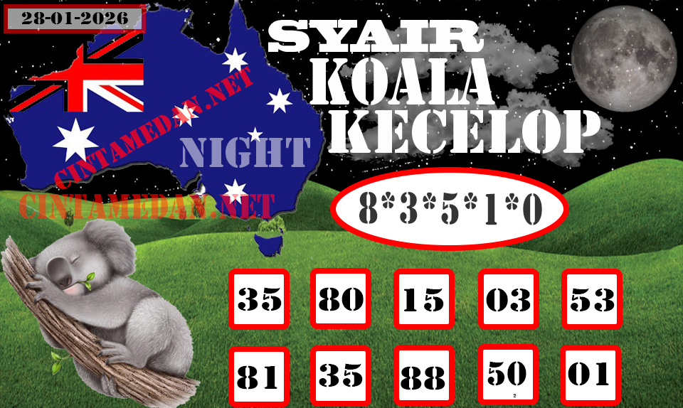 SYAIR%20KOALA%20KECELOP27-Recovered.jpg