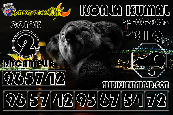KOALA KUMAL6.jpg