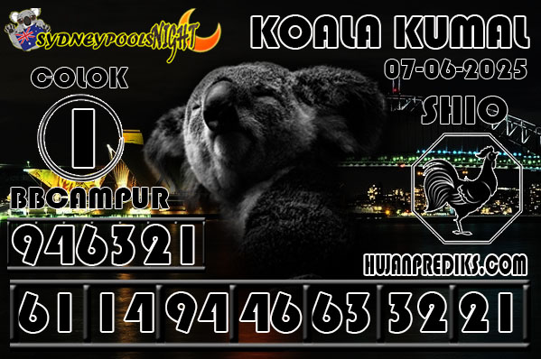6%20KOALA%20KUMAL.jpg