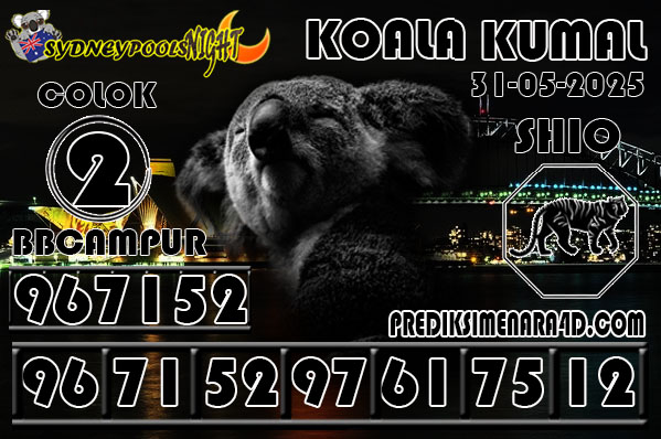 KOALA KUMAL6.jpg