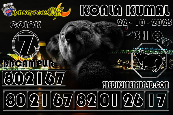 7 KOALA 9G SYD.jpg