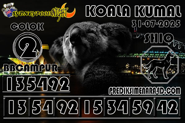 7 KOALA 9G SYD.jpg