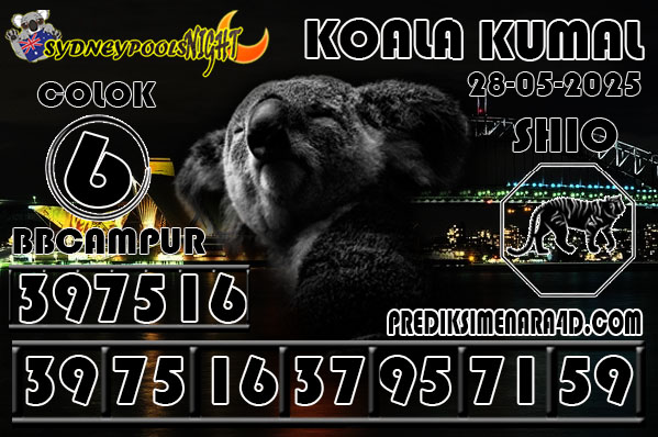 KOALA KUMAL6.jpg