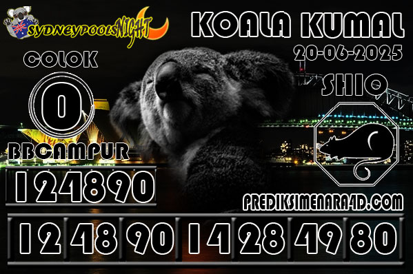 KOALA KUMAL6.jpg