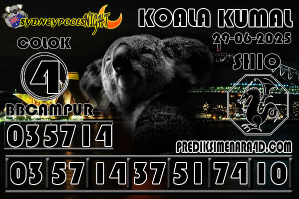 KOALA KUMAL6.jpg