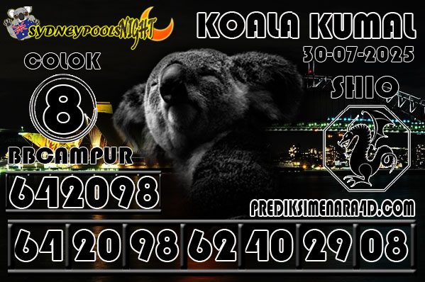 7 KOALA 9G SYD.jpg