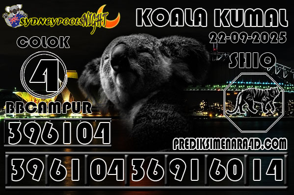 7 KOALA 9G SYD.jpg