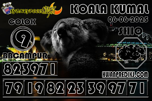 6%20KOALA%20KUMA.jpg