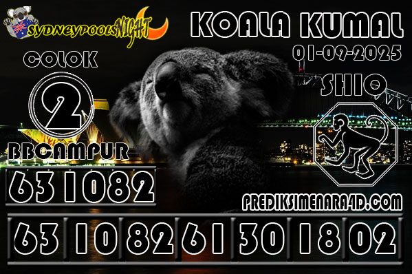 7 KOALA 9G SYD.jpg