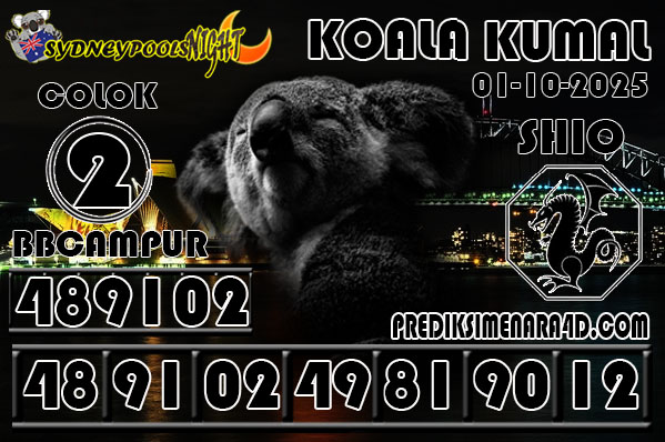 7 KOALA 9G SYD.jpg